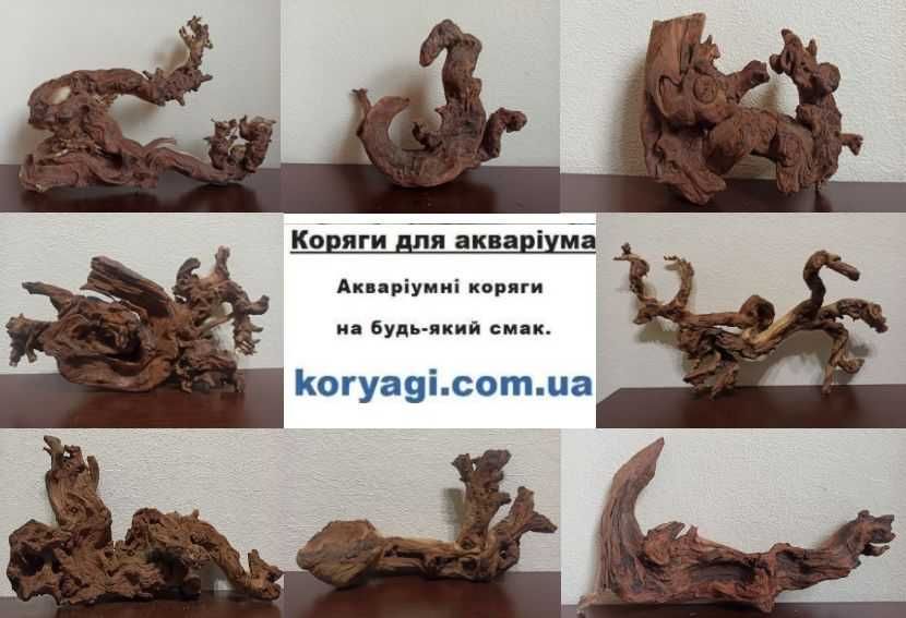 Коряга для акваріума. Кораловий корінь. Шикарна. Завжди великий вибір.