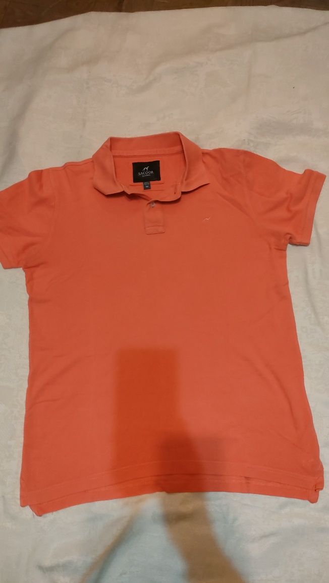 Pólos homem • Camisas homem •  Diversas marcas e como novas
