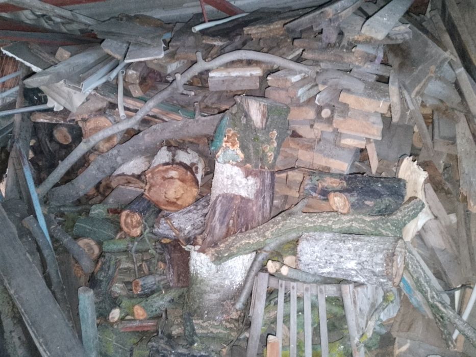 Продам дрова горіх яблуня