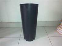 vasos plasticos altos arvores fruto fruteiras
