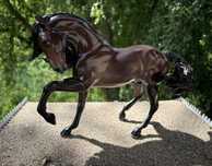 Breyer traditional custom SJOERD