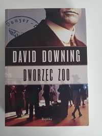 Dworzec zoo David Downing