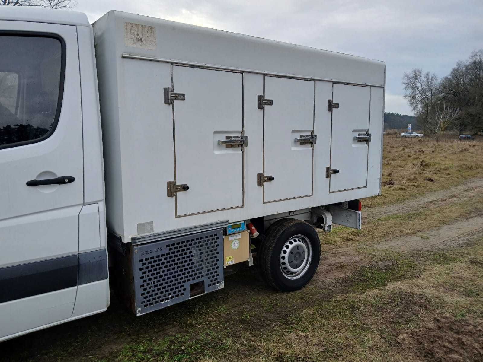 Zabudowa kontener chłodnia / mroźnia - 6 drzwi - drzwi z obu stron