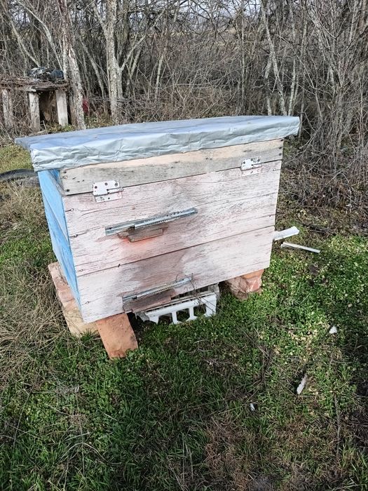 Продам вулики лежаки з бджолосімьями