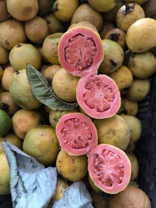 Vendo goiaba margem sul