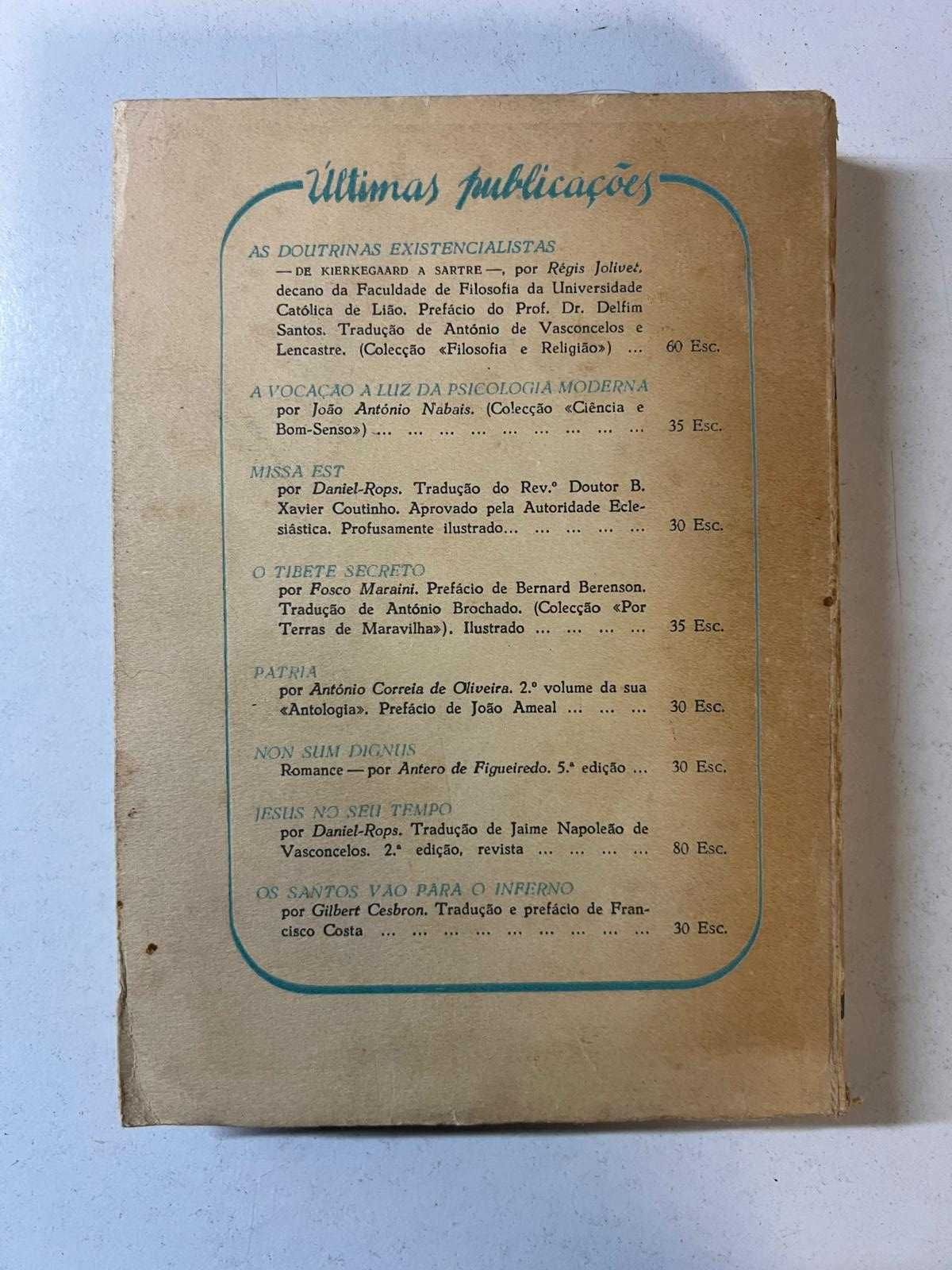 Livro - Plenitude - Depoimento de Uma Mulher Sobre o Amor (ctt grátis)