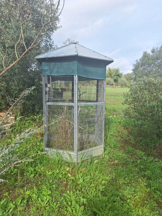 Gaiola galvanizado alto