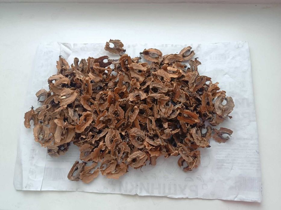 Перегородки грецкого ореха