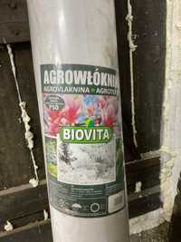 Agrowłóknina biała Biovita Katowice