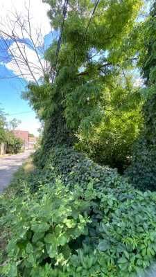 Участок на Фонтане