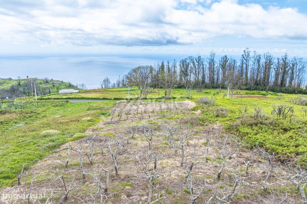 Terreno Rústico plano em Fajã da Ovelha, Calheta