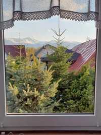 Dom do wynajęcia z widokiem na góry Karkonosze w okolicy Karpacza