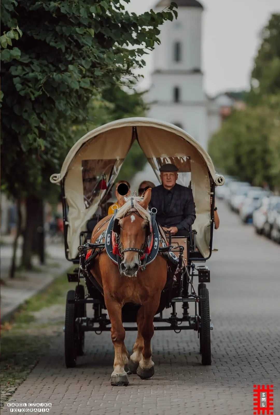 Bryczka przejażdżka kareta na wesela urodziny wycieczki wycieczka