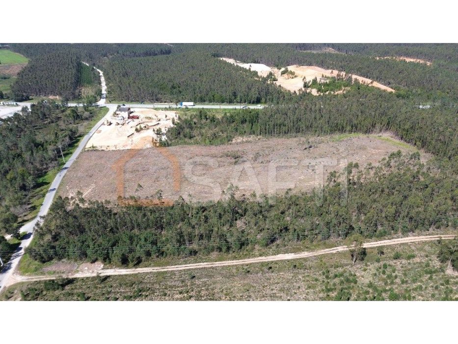 Terreno Rústico com 1 Hectare à Venda no Relvão, Redinha - Pombal