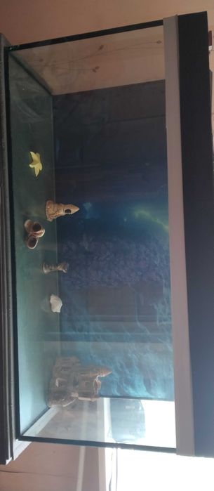 Акваріум б/у на 500 літрів