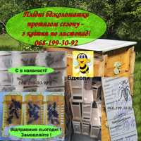 Бджоли зараз є в наявності: кому сьогодні  потрібні плідні Бджоломатки