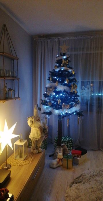 Choinka na Pniu gęsta