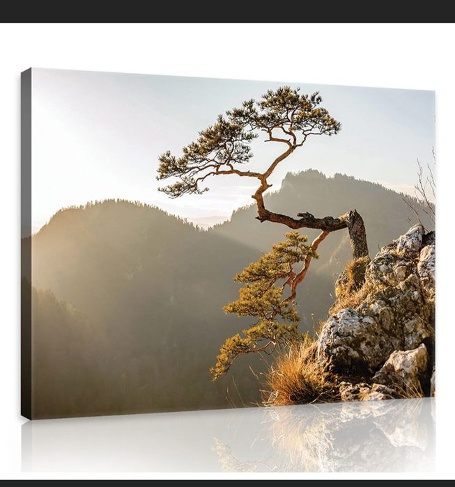 Obraz na płótnie dzewo na skarpie