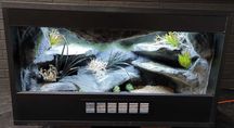 Terrarium nr401 70/40/40 dla gekona lamparciego NA ZAMÓWIENIE
