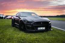 Mustang GT premium performance shelby