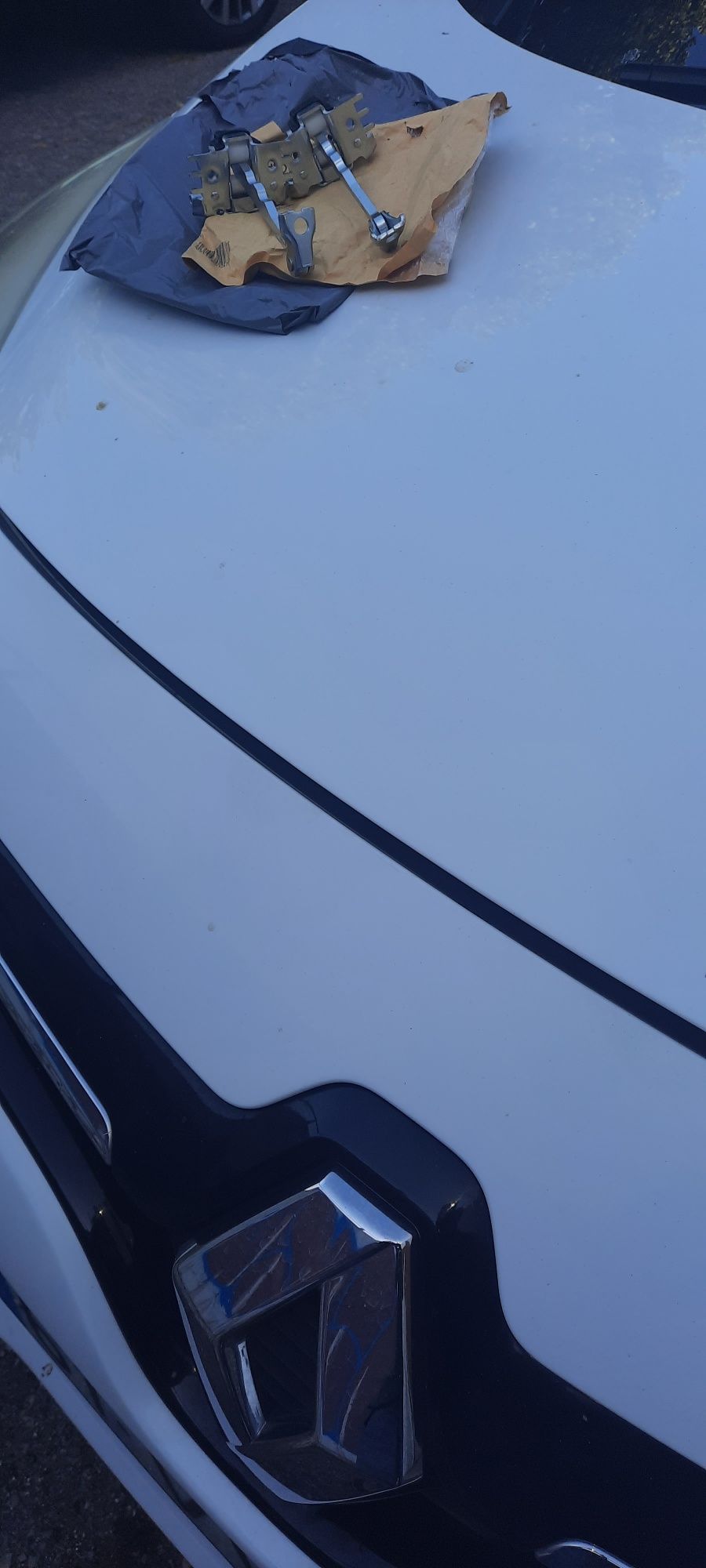 Amortecedor/Limitador porta renault ( 15€ unidade)
