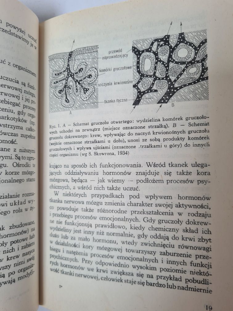 Rozwój uczuć - Stanisław Gerstmann