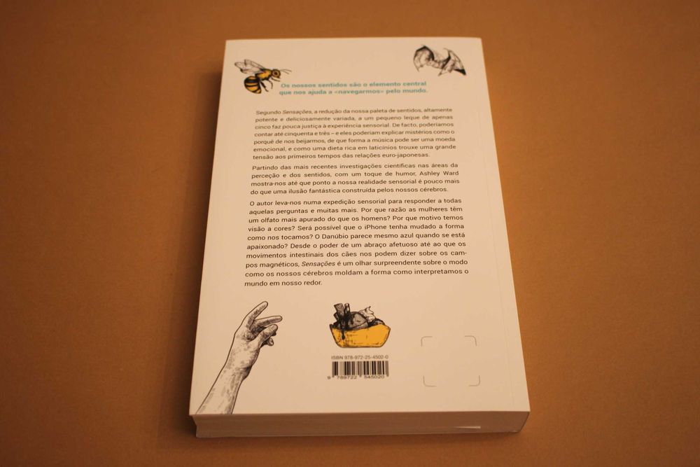 Sensações // Ashley Ward