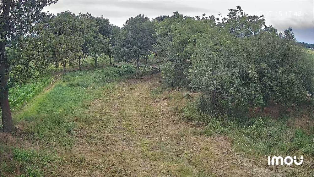 Sprzedam gospodarstwo rolne