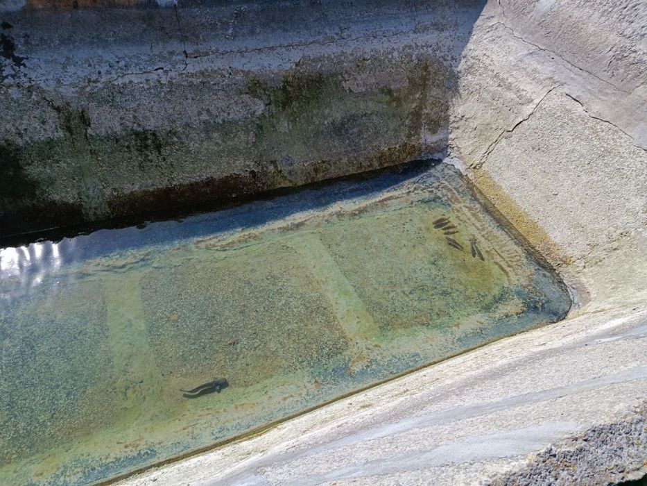 Продаж земельної ділянки з бізнесом 4 га