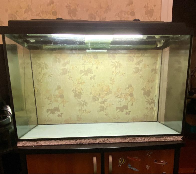 Акваріум на 240 літрів