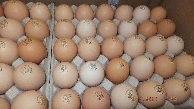 Яйца инкубационные Кобб