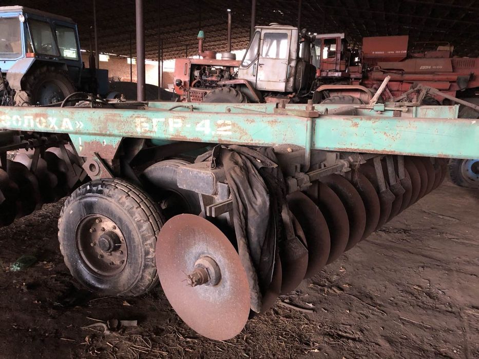 Продам солоху 4,2