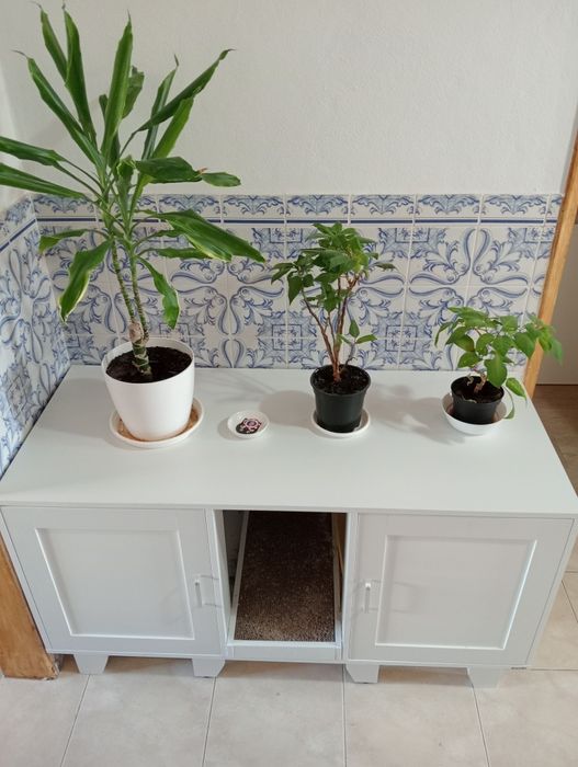 Armário para caixa de areia de Gatos – funcional e decorativo!