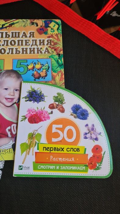 + подарок Енциклопедія для дошкільнят Большая энциклопедия дошкольника