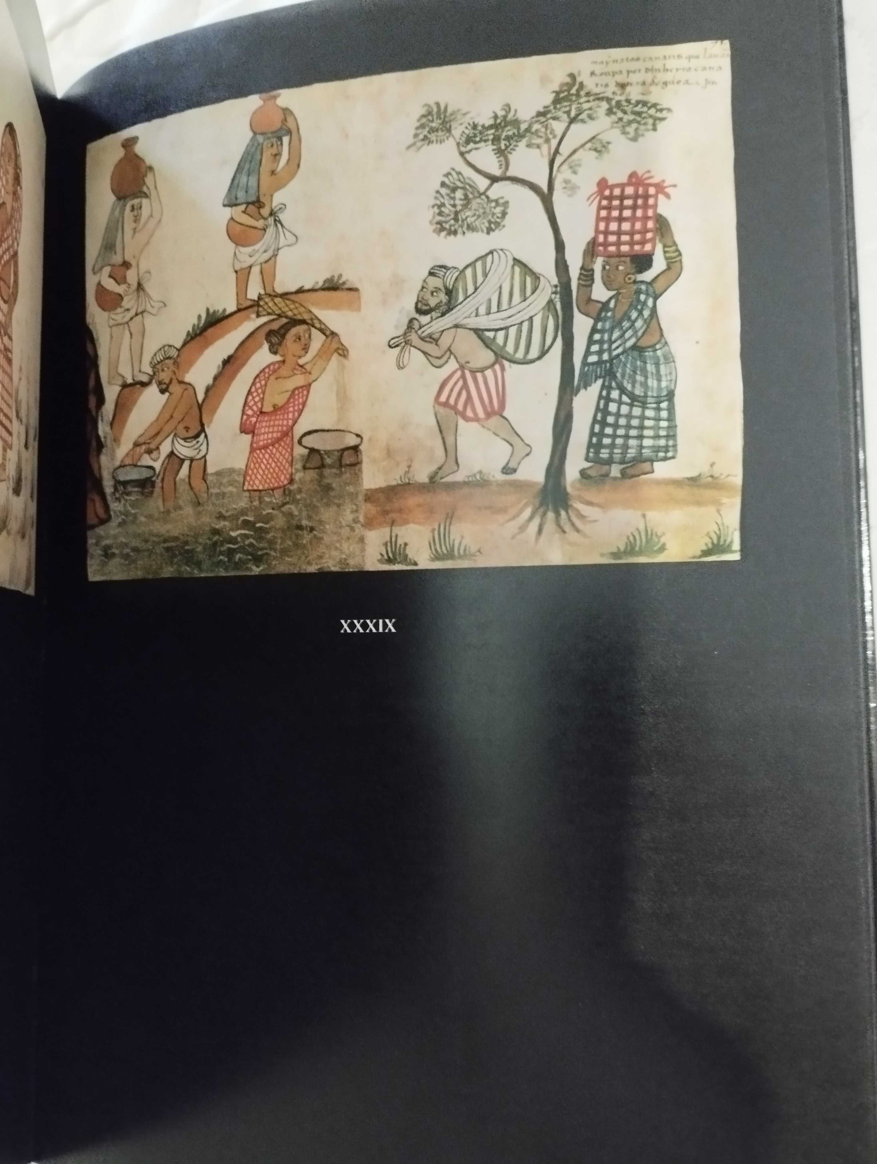 Livro imagens do oriente no séc.XVI