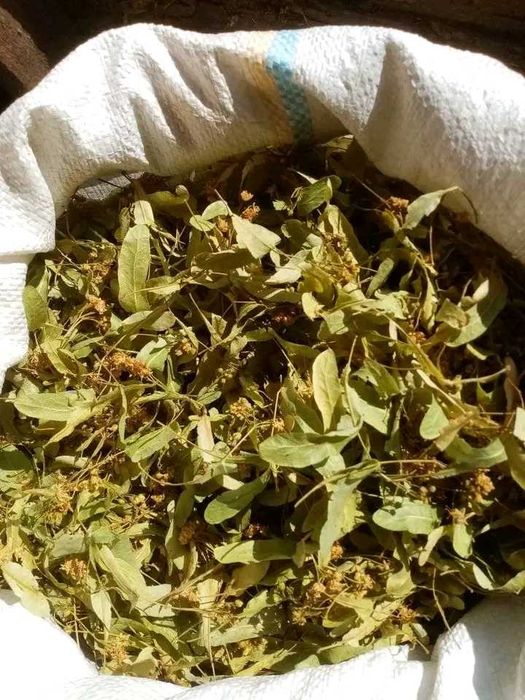 Сушена чорниця,брусниця,лохина,вишня,смородина,айва