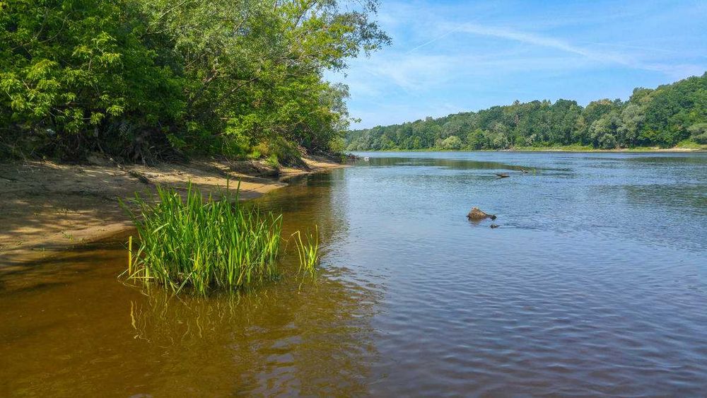 Piękną działkę nad Narwią sprzedam