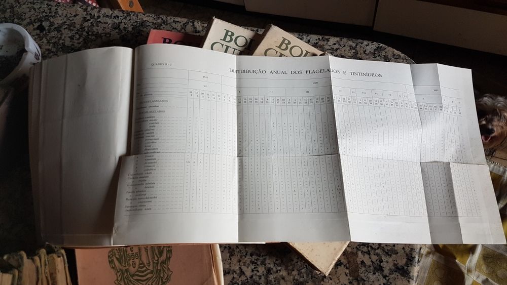 Livros antigos de colecionador