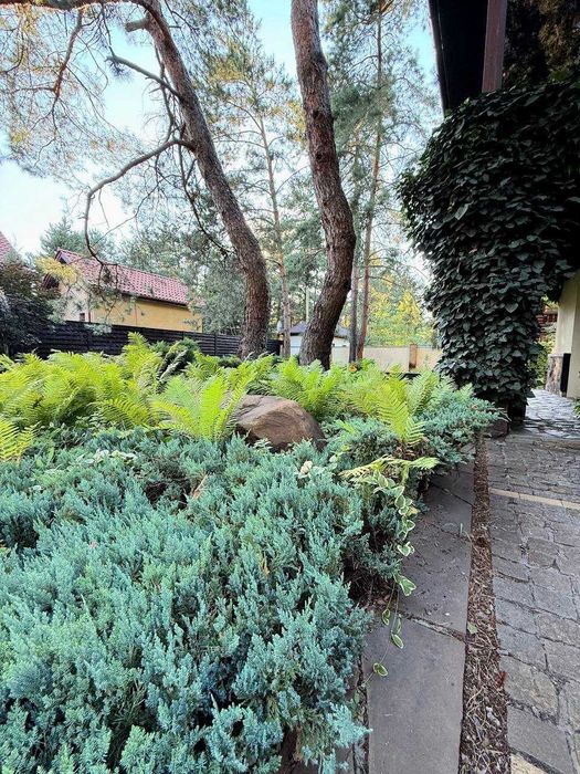 Продам продуманный дом в сосновом лесу река Обуховка центр