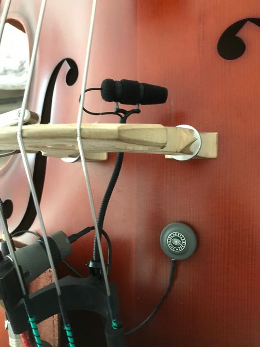 Shertler Dyn B swiss made microfone de contacto para contrabaixo