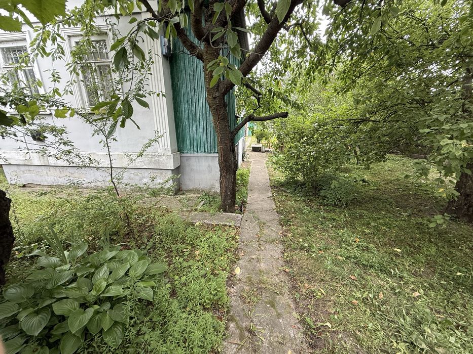 СТ Ялинка,всі комукації,сусіди,хороше місце