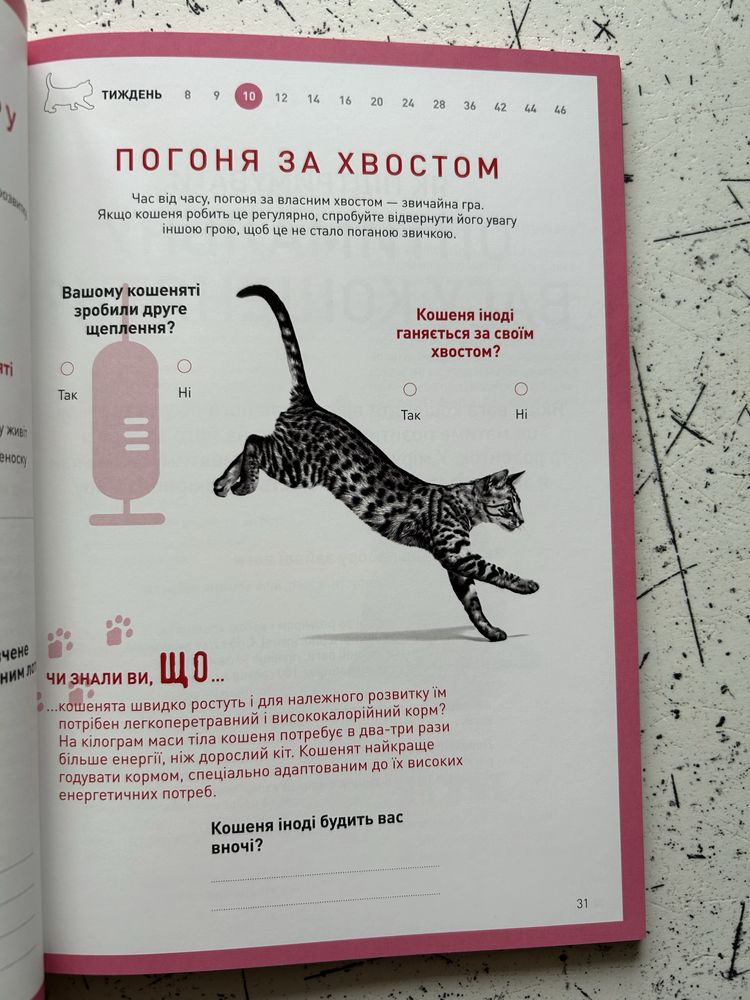 Щоденник перший рік мого кошеняти+міска