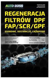 Regeneracja Czyszczenie  Filtrów  DPF ,FAP, SCR , KAT oraz Chłodnic