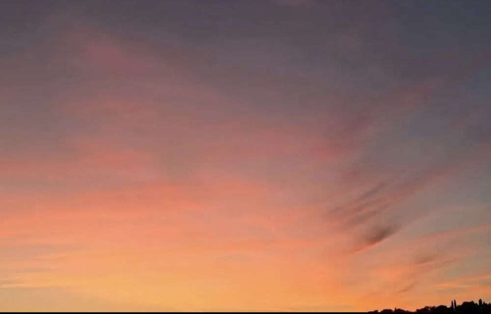 Język angielski Korepetycje z angielskiego Online Nauka od podstaw