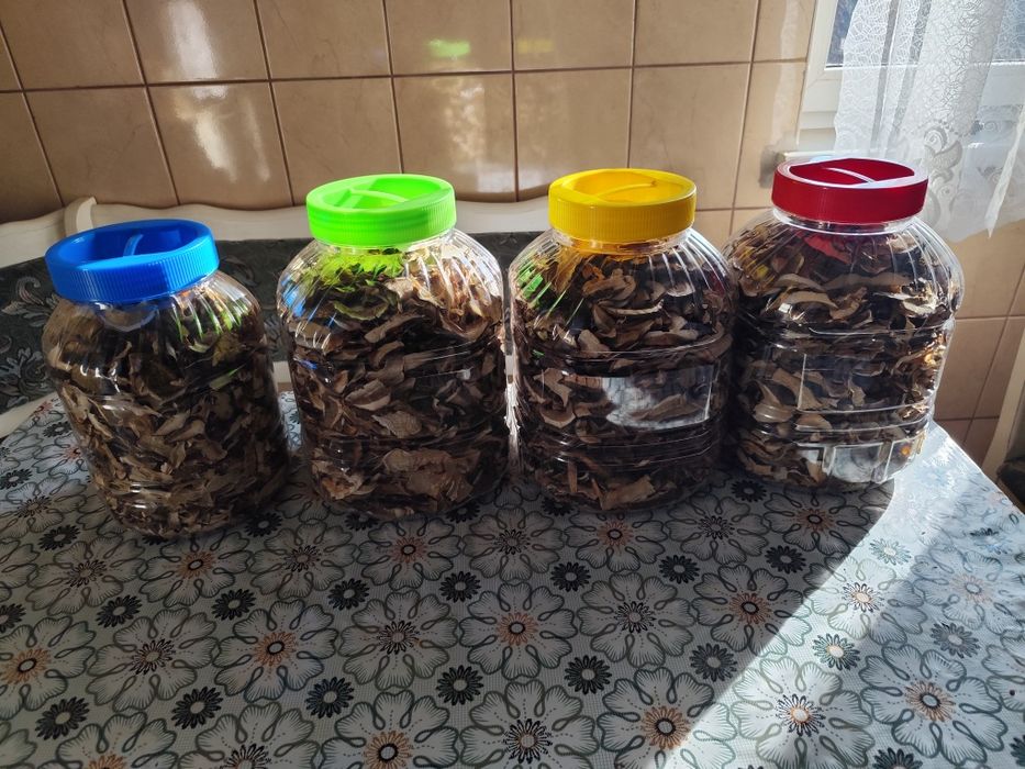 Suszone grzyby prawdziwki prawe