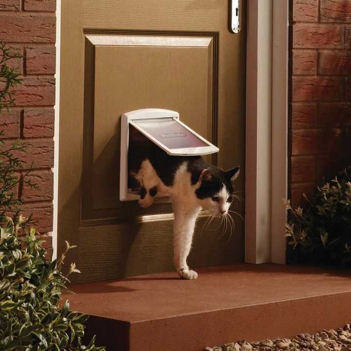 Drzwiczki wahadłowe PetSafe staywell dla małego psa kota białe