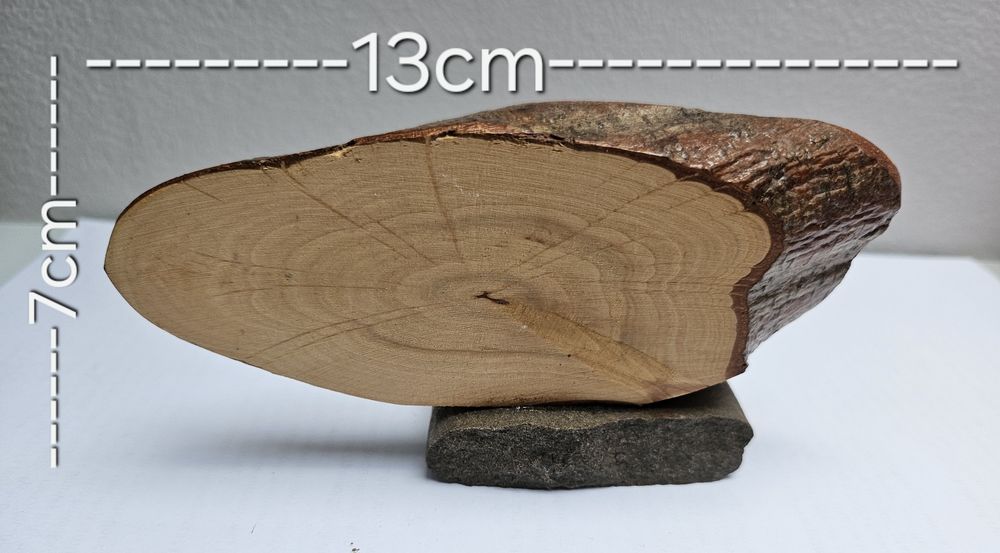 Nowa Pamiątka z Pienin