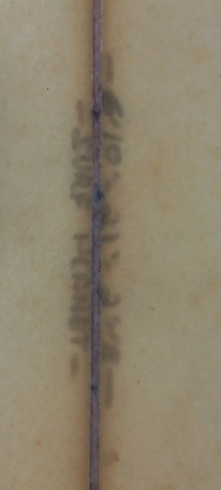 Prancha de surf 6.10