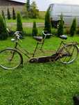 Rower Tandem Gazelle