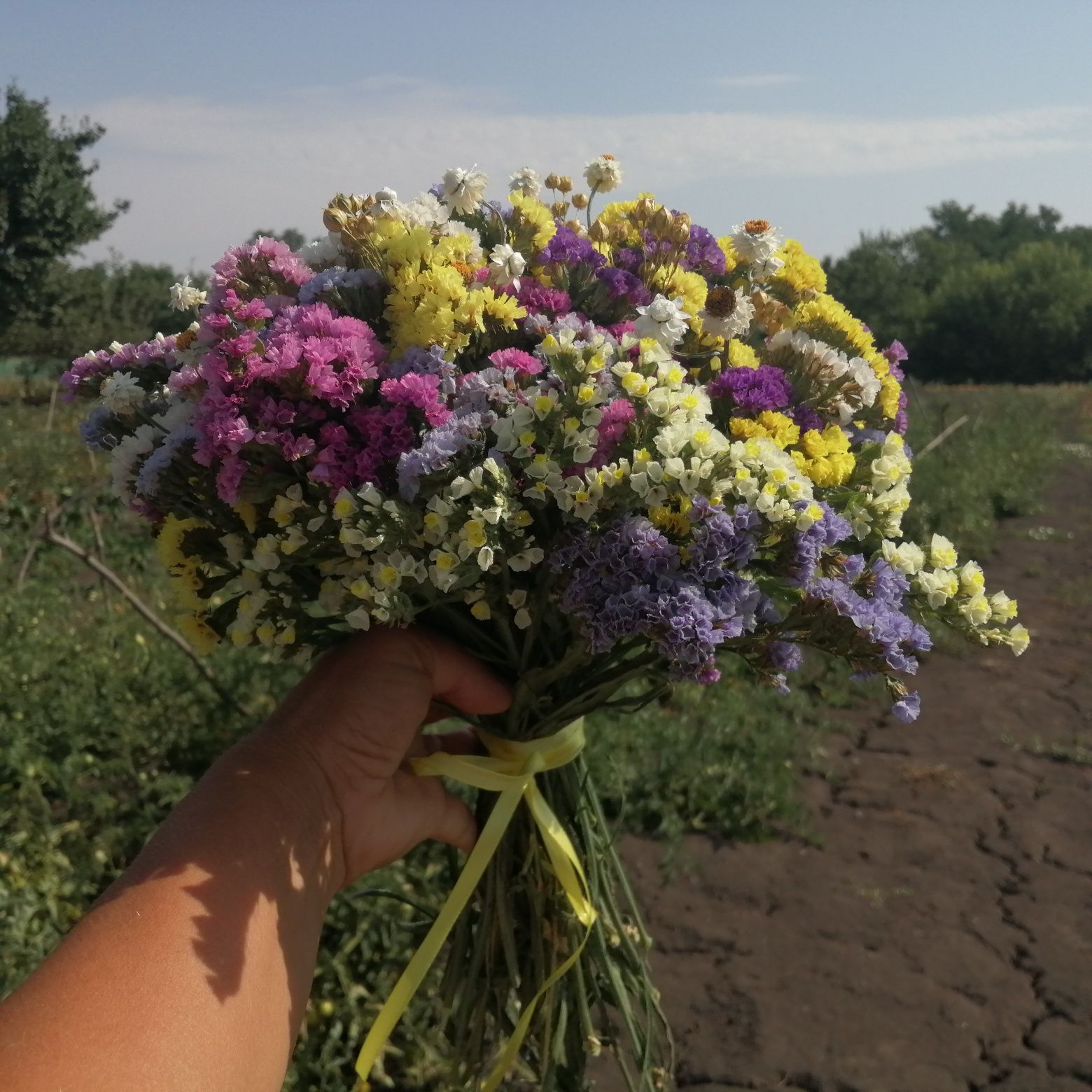 Букет із сухоквітів